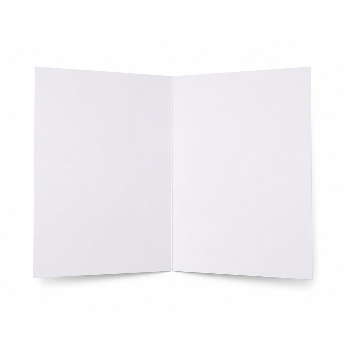Blank inside view of Freemasons' Hall Christmas Card