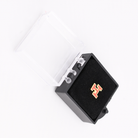 Royal Arch Triple Tau Masonic lapel pin badge in gold and red enamel, Freemason jewelry accessory on presentation box